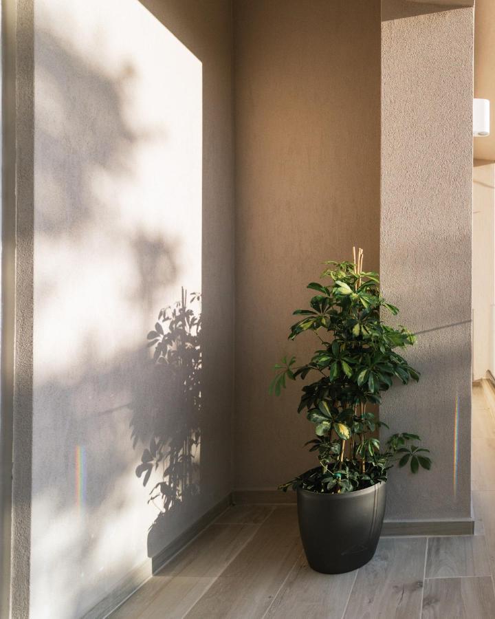 Central Apartments “Evanthia” ピツイディア エクステリア 写真